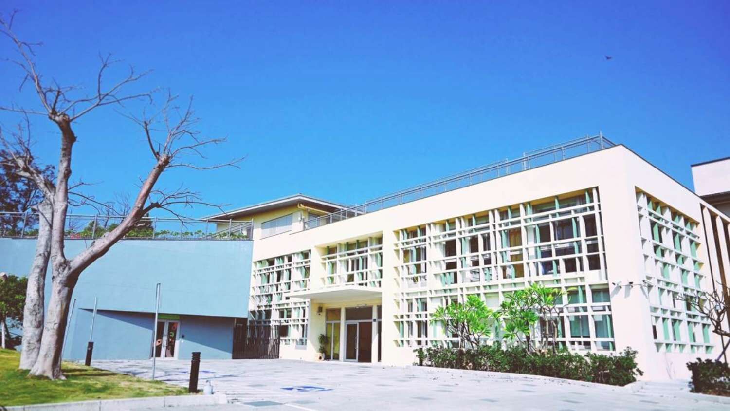 竹市動物保護教育園區，提供中途貓狗良好的的居住環境。